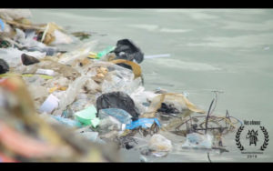 “The plague of plastic bags” at Vues d’Afrique festival